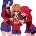 Toradora! Recap