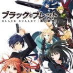 Black Bullet